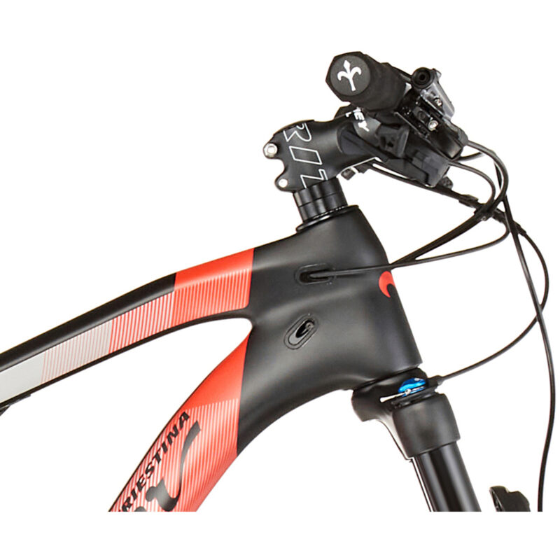 Wilier 110FX XT 1x12 966 Rhythm, noir/rouge - Image 3